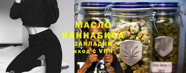 дмт Богданович