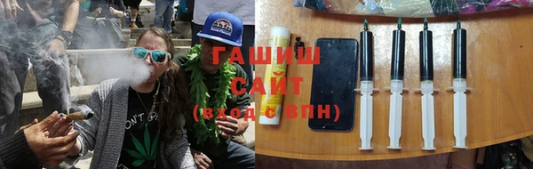 дмт Богданович