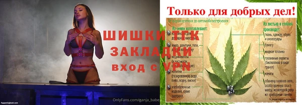 дмт Богданович