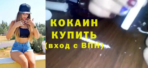 дмт Богданович