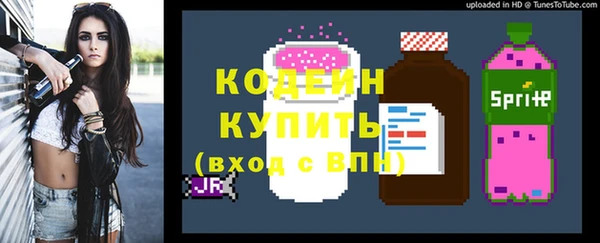 дмт Богданович