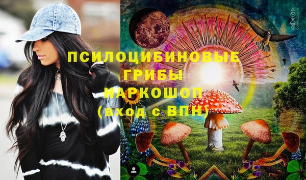 дмт Богданович