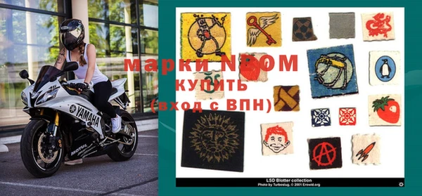 PSILOCYBIN Богородск