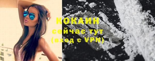дмт Богданович