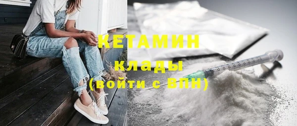 дмт Богданович