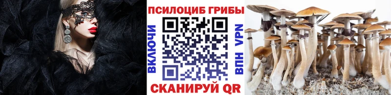Галлюциногенные грибы прущие грибы  Каневская 